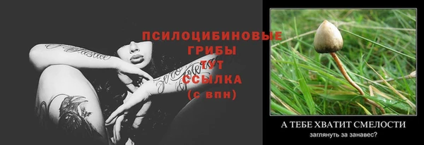 шишки Абдулино