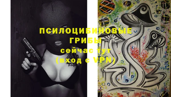 трава Абаза