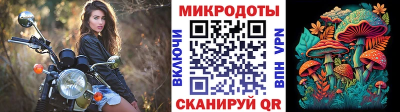 Псилоцибиновые грибы Psilocybe  купить закладку  Нижняя Салда 